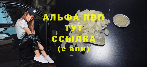 СК Горно-Алтайск