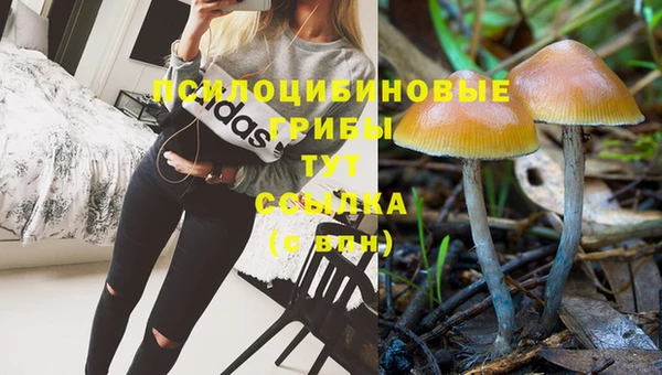 ECSTASY Вязники