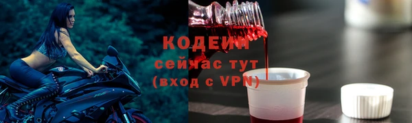 индика Гусев