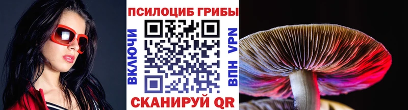сколько стоит Дмитриев Псилоцибиновые грибы Cubensis